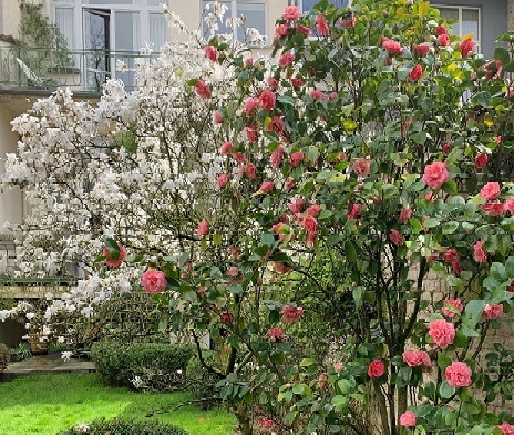 IMG 0778 50